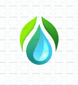 Wassertropfen und Blatt